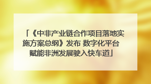 《中非产业链合作项目落地实施方案总纲》发布 数字化平台赋能非洲发展驶入快车道