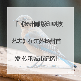 《扬州雕版印刷技艺志》在江苏扬州首发 传承城市记忆