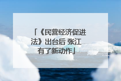 《民营经济促进法》出台后 张江有了新动作
