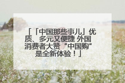 「中国那些事儿」优质、多元又便捷 外国消费者大赞“中国购”是全新体验！