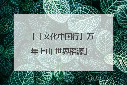 「文化中国行」万年上山 世界稻源