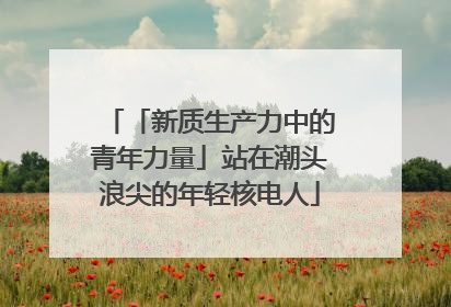 「新质生产力中的青年力量」站在潮头浪尖的年轻核电人