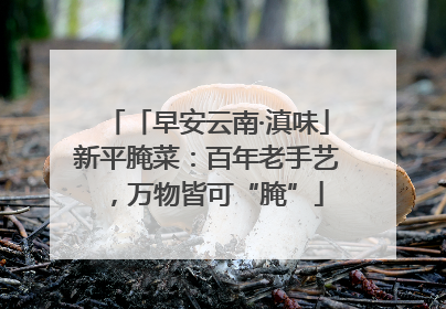 「早安云南·滇味」新平腌菜：百年老手艺，万物皆可“腌”