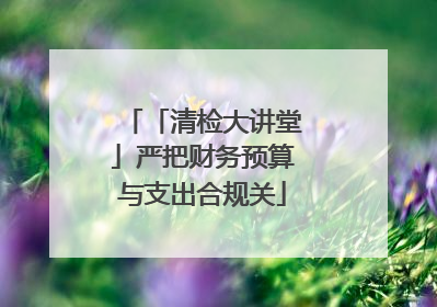 「清检大讲堂」严把财务预算与支出合规关