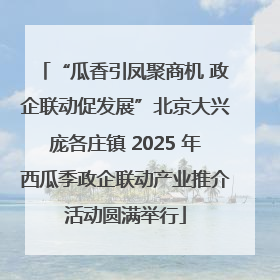 “瓜香引凤聚商机 政企联动促发展”北京大兴庞各庄镇 2025 年西瓜季政企联动产业推介活动圆满举行