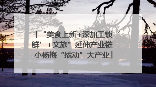 “美食上新+深加工锁‘鲜’+文旅”延伸产业链 小杨梅“撬动”大产业