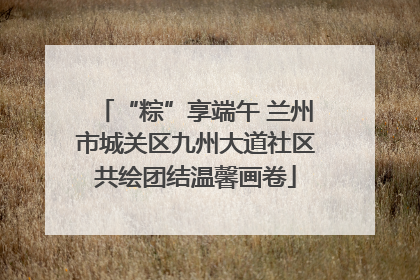 “粽”享端午 兰州市城关区九州大道社区共绘团结温馨画卷