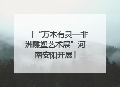 “万木有灵—非洲雕塑艺术展”河南安阳开展
