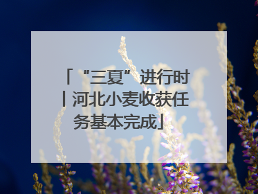 “三夏”进行时丨河北小麦收获任务基本完成