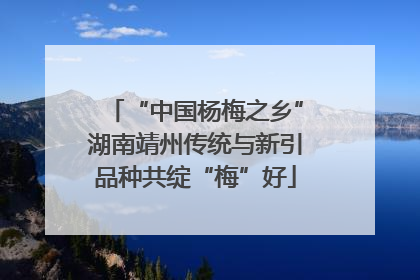 “中国杨梅之乡”湖南靖州传统与新引品种共绽“梅”好
