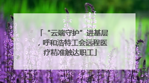 “云端守护”进基层，呼和浩特工会远程医疗精准触达职工