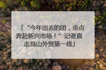 “今年出去的团，重点奔赴新兴市场！”记者直击昆山外贸第一线