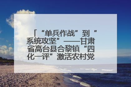 “单兵作战”到“系统攻坚”——甘肃省高台县合黎镇“四化一评”激活农村党员管理新引擎