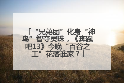 “兄弟团”化身“神鸟”智夺灵珠，《奔跑吧13》今晚“百谷之王”花落谁家？