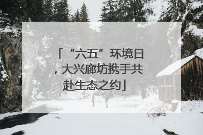 “六五”环境日，大兴廊坊携手共赴生态之约