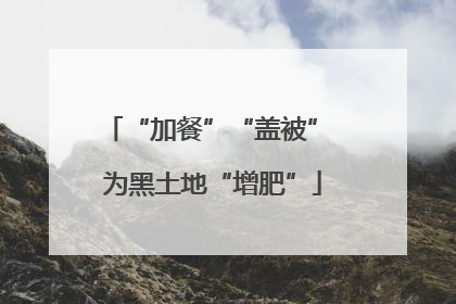“加餐”“盖被” 为黑土地“增肥”