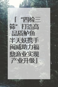 “四检三筛”打造高品质鲈鱼 半天妖携手闽威助力福鼎渔业实现产业升级