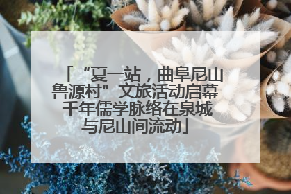 “夏一站，曲阜尼山鲁源村”文旅活动启幕 千年儒学脉络在泉城与尼山间流动