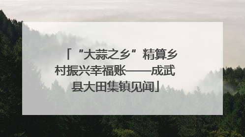 “大蒜之乡”精算乡村振兴幸福账——成武县大田集镇见闻