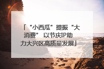 “小西瓜”提振“大消费” 以节庆IP助力大兴区高质量发展