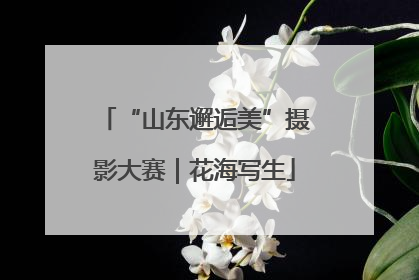 “山东邂逅美”摄影大赛｜花海写生