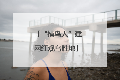 “捕鸟人”建网红观鸟胜地