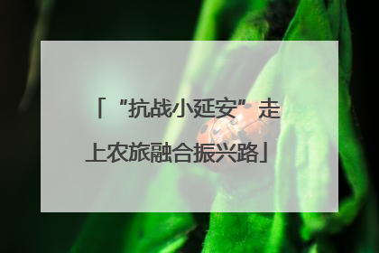 “抗战小延安”走上农旅融合振兴路