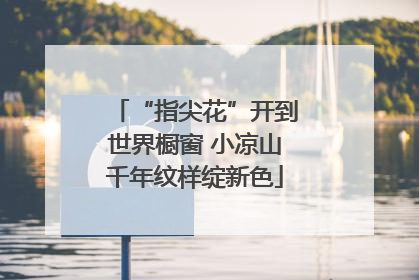“指尖花”开到世界橱窗 小凉山千年纹样绽新色