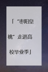 “枣阳皇桃”走进高校毕业季