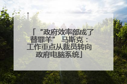 “政府效率部成了替罪羊” 马斯克：工作重点从裁员转向政府电脑系统