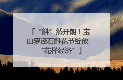 “斛”然开朗！宝山罗泾石斛花节绽放“花样经济”