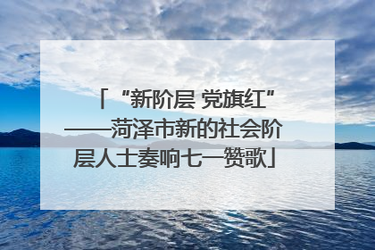 “新阶层 党旗红”——菏泽市新的社会阶层人士奏响七一赞歌