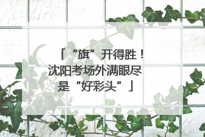 “旗”开得胜！沈阳考场外满眼尽是“好彩头”