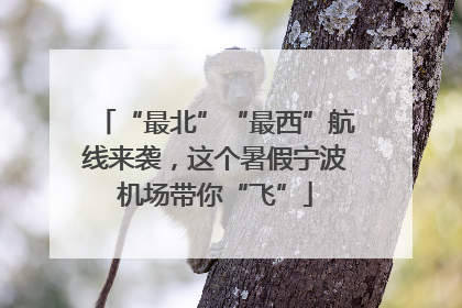 “最北”“最西”航线来袭，这个暑假宁波机场带你“飞”