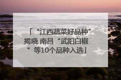 “江西蔬菜好品种”揭晓 南昌“武阳白椒”等10个品种入选
