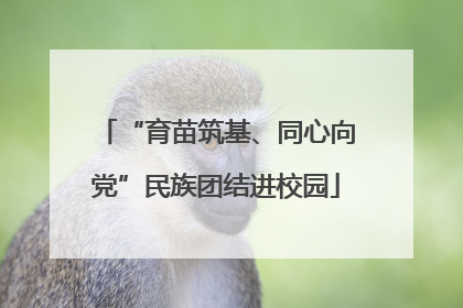 “育苗筑基、同心向党”民族团结进校园