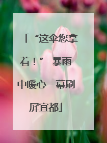 “这伞您拿着！” 暴雨中暖心一幕刷屏宜都