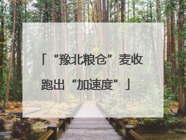 “豫北粮仓”麦收跑出“加速度”