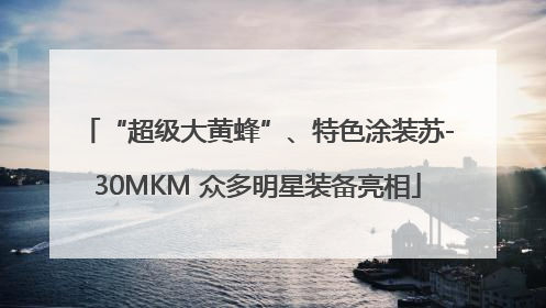 “超级大黄蜂”、特色涂装苏-30MKM 众多明星装备亮相