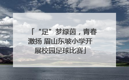 “足”梦绿茵，青春激扬 眉山东坡小学开展校园足球比赛