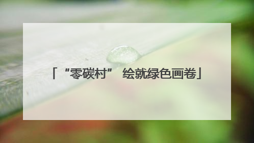 “零碳村” 绘就绿色画卷