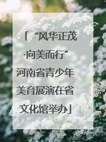 “风华正茂·向美而行”河南省青少年美育展演在省文化馆举办