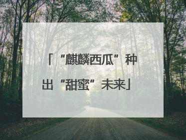 “麒麟西瓜”种出“甜蜜”未来