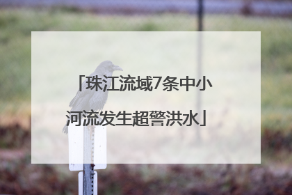 珠江流域7条中小河流发生超警洪水