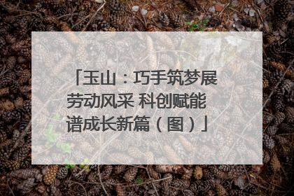 玉山：巧手筑梦展劳动风采 科创赋能谱成长新篇（图）