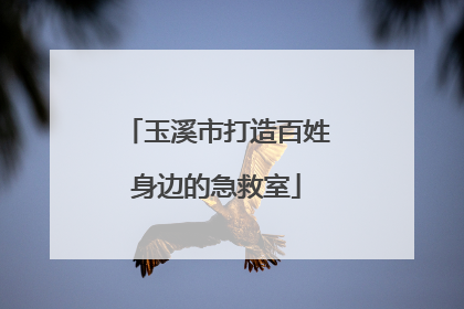 玉溪市打造百姓身边的急救室