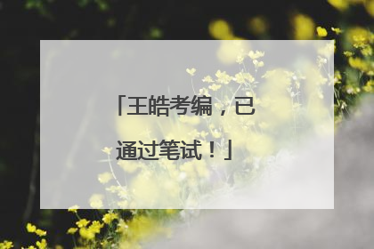 王皓考编，已通过笔试！