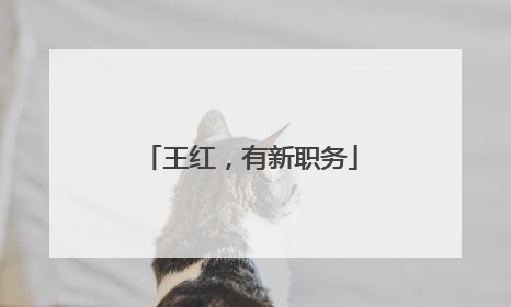 王红，有新职务