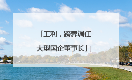 王利，跨界调任大型国企董事长