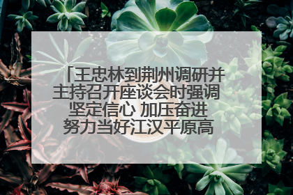 王忠林到荆州调研并主持召开座谈会时强调 坚定信心 加压奋进 努力当好江汉平原高质量发展排头兵